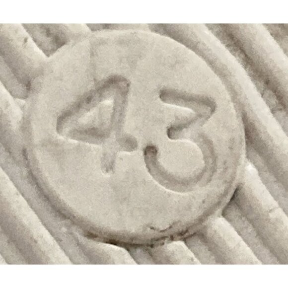 Kuero's Y Mucho Mas Unisex size Men 10 Women 12 Canvas Sneakers  shoes - Picture 8 of 8